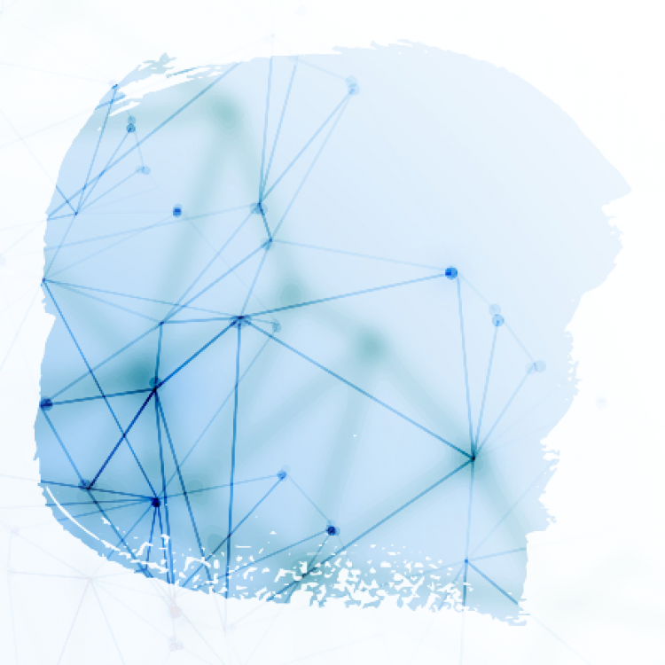 NETWORK CONNECTIVITY